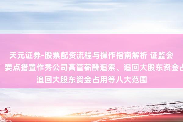 天元证券-股票配资流程与操作指南解析 证监会运转专项活动！要点措置作秀公司高管薪酬追索、追回大股东资金占用等八大范围