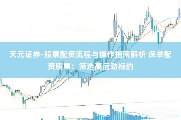 天元证券-股票配资流程与操作指南解析 保举配资股票：筛选高后劲标的