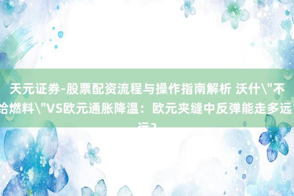 天元证券-股票配资流程与操作指南解析 沃什＂不给燃料＂VS欧元通胀降温：欧元夹缝中反弹能走多远？
