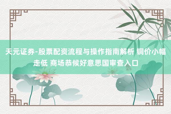 天元证券-股票配资流程与操作指南解析 铜价小幅走低 商场恭候好意思国审查入口