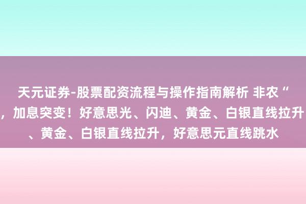 天元证券-股票配资流程与操作指南解析 非农“救市”！好意思联储，加息突变！好意思光、闪迪、黄金、白银直线拉升，好意思元直线跳水